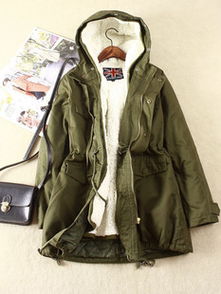 單記衣行服飾產品與食用農產品初加工 多元化加盟店的經營策略