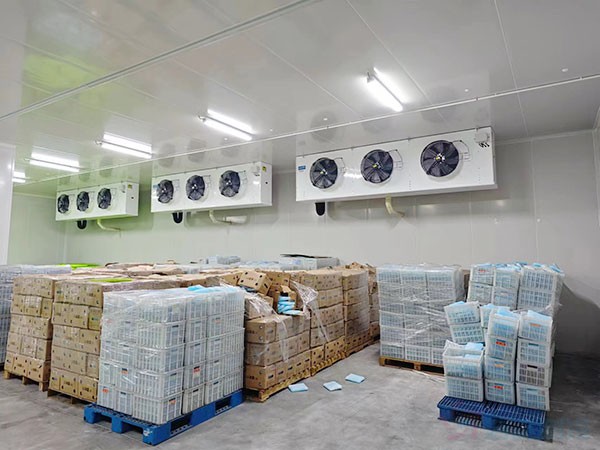 建造農產品產地初加工冷庫 所需資質與造價預算詳解