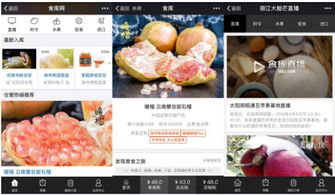 杭州四喜托管可信嗎？事實說話 食庫網(wǎng)農(nóng)產(chǎn)品基地加工與品牌營銷的領(lǐng)航者