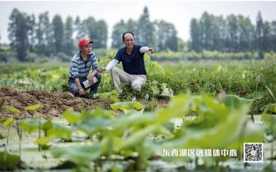 臨空港 食用農產品初加工產業蓬勃發展，打造鄉村振興新引擎